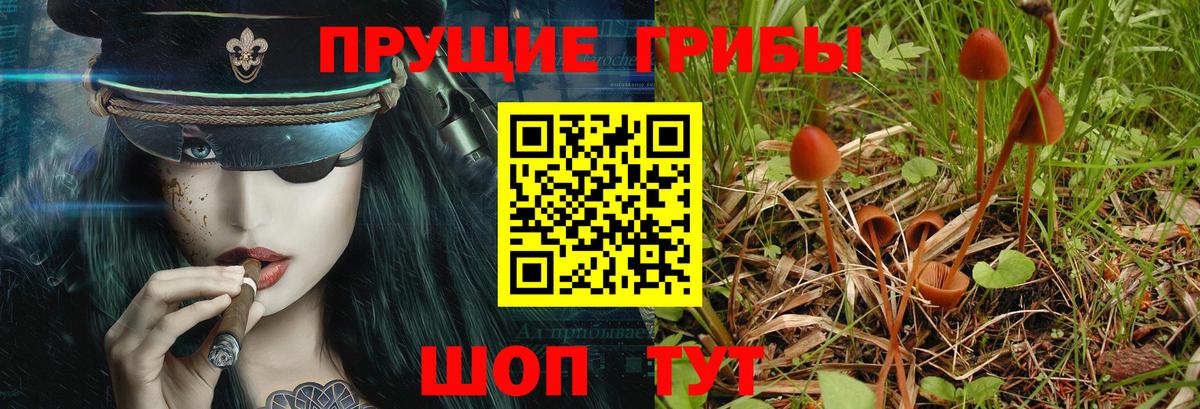 Псилоцибиновые грибы Magic Shrooms Лысьва