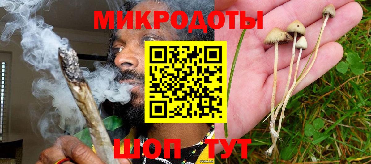 Псилоцибиновые грибы GOLDEN TEACHER  магазин продажи наркотиков  Вход с VPN  Лысьва  Галлюциногенные грибы MAGIC MUSHROOMS 